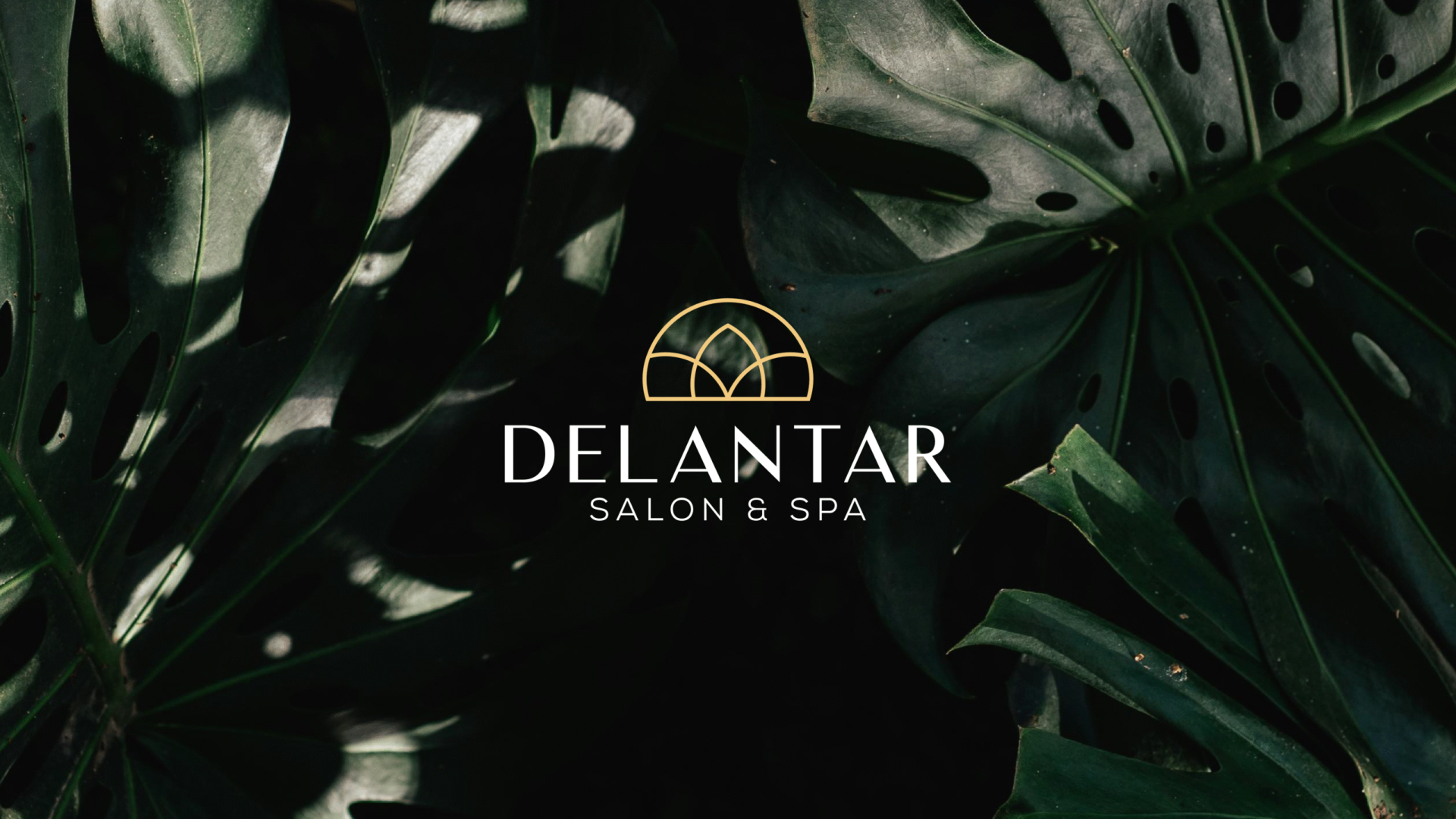 Wano Studio – Delantar – Brand Identity-01 Wano Studio, Delantar brand identity